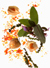 Imagebild