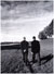 Imagebild